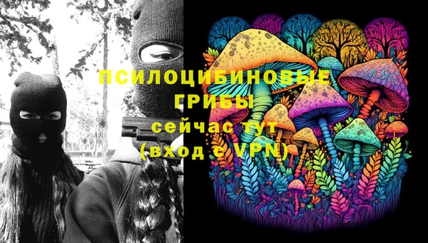 spice Зеленодольск