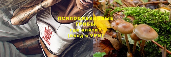 первитин Инсар