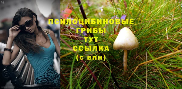 соль ск Краснослободск