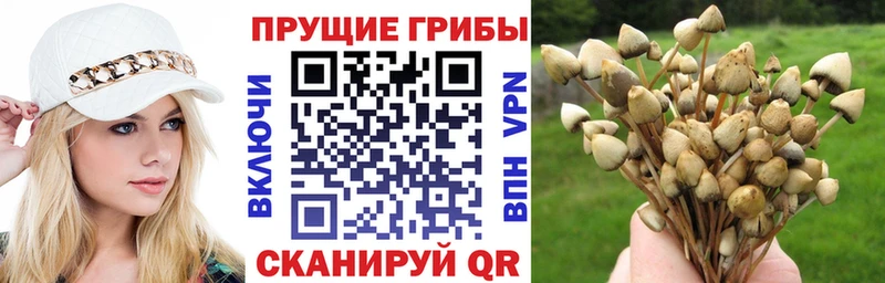 Галлюциногенные грибы GOLDEN TEACHER  Сосногорск 